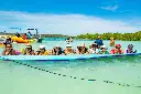 JollyCountry-136.webp