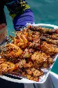 _MG_1305.webp