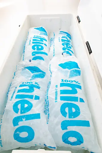 Hielo, 14 bolsas en 2 cavas.